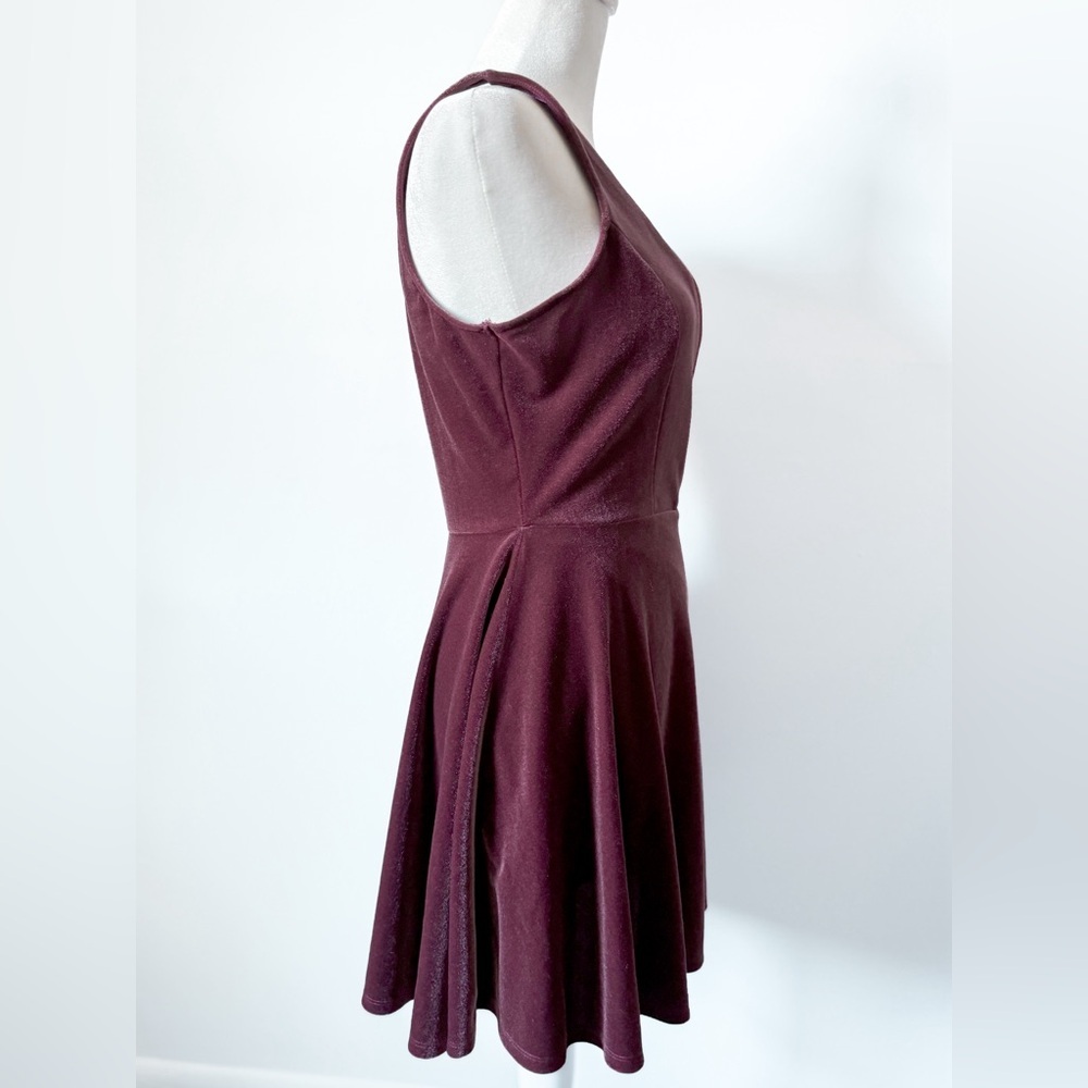 Express Velvet Skater Dress - Picture 4 of 5